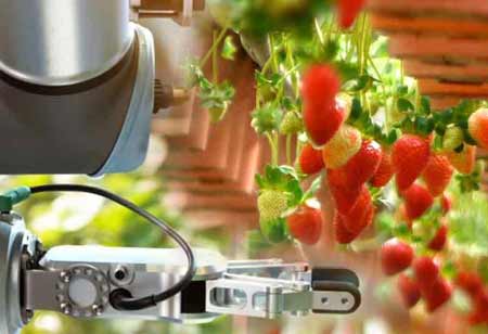 How Modern Agriculture Technology Enhances Farming Operations